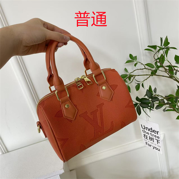 LV small bag-1733