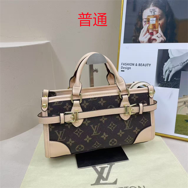 LV small bag-0548