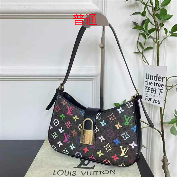 LV small bag-0858