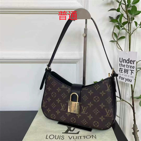 LV small bag-0861