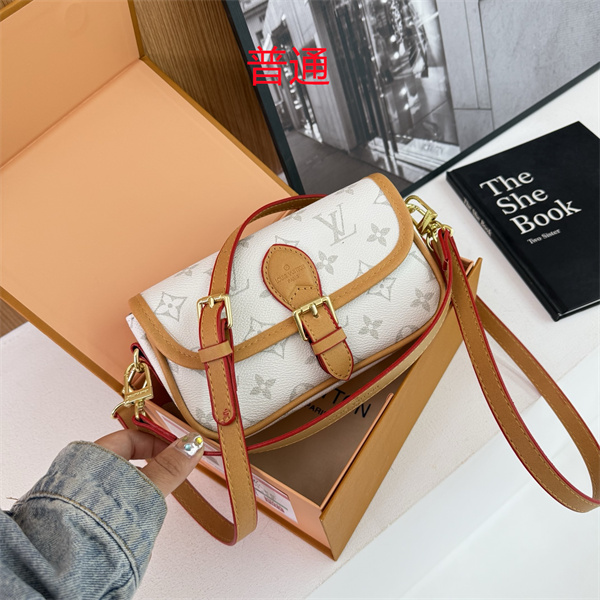 LV small bag-0870