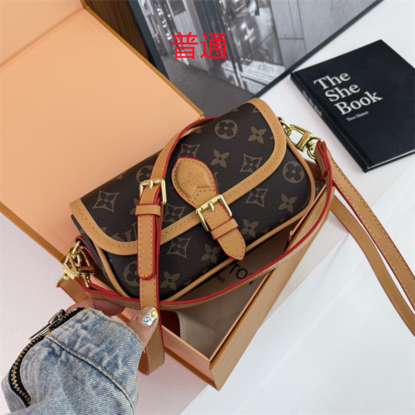 LV small bag-0873