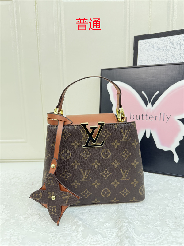 LV small bag-0954
