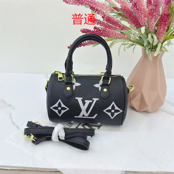 LV small bag-0956