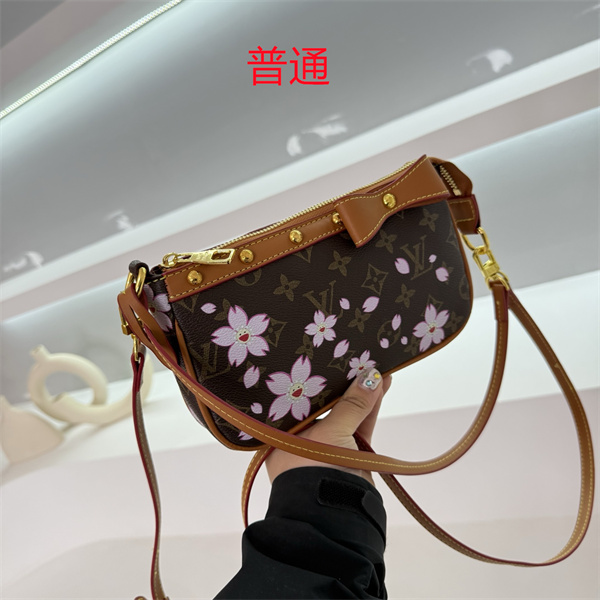 LV small bag-0972