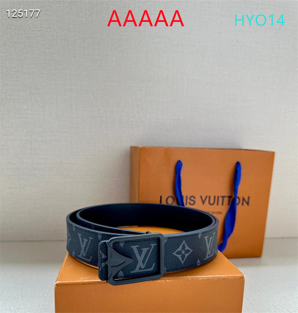 LV(AAAAA)Belt-0066