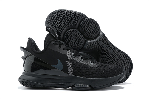 Lebron Witness 5-001