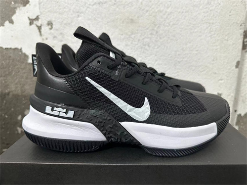 Lebron Ambassador 12-M-0009