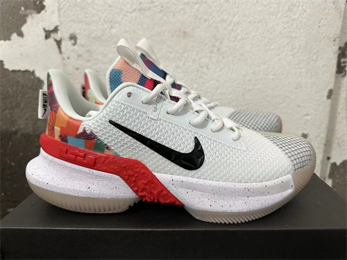 Lebron Ambassador 12-M-0010