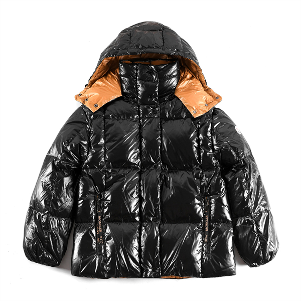 Moncler Down Jacket-M-105