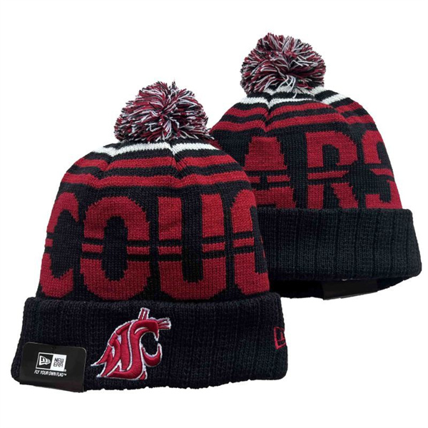 NCAA Beanies-0027