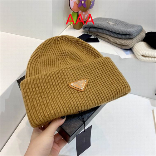 Prada Beanies(AAA)-019