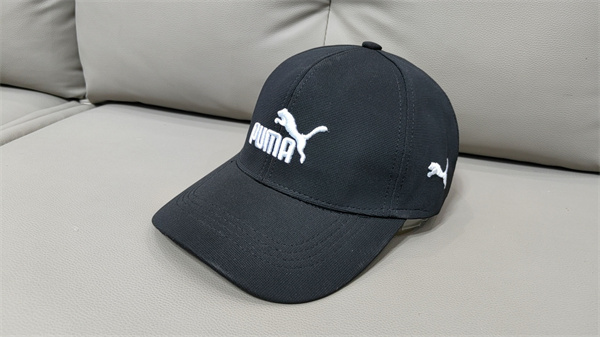 Puma Snapbacks-0033