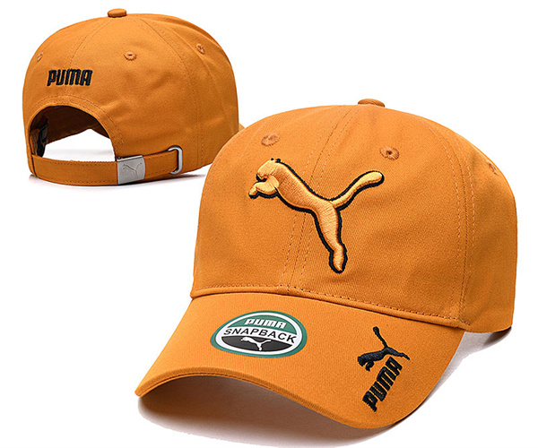 Puma Snapbacks-0034