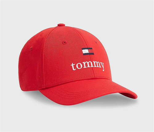 Tommy hilfiger Snapbacks-0045