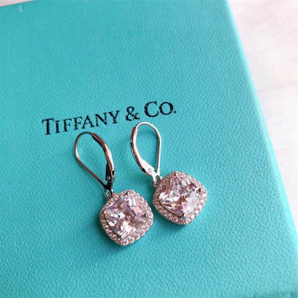 Tiffany Earrings-042