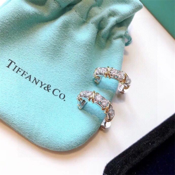 Tiffany Earrings-044