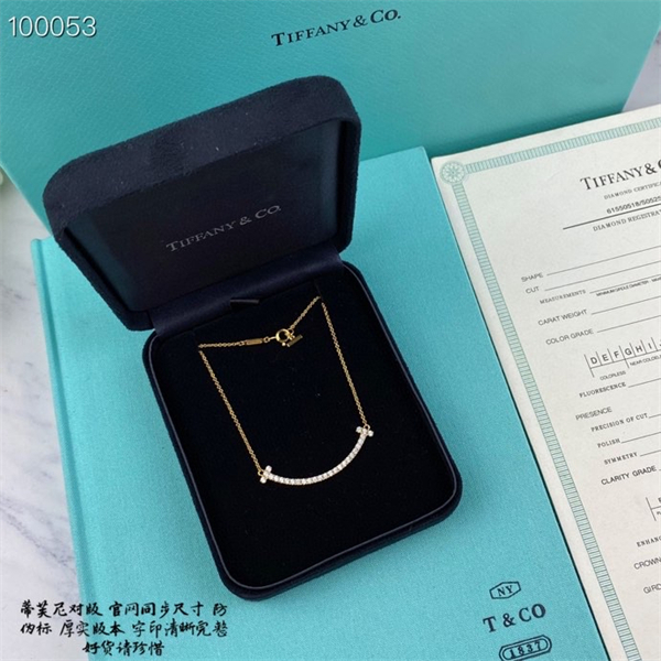 Tiffany Necklace-037