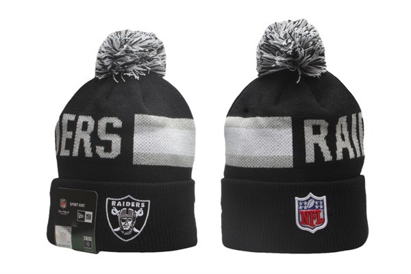 NFL Beanies(2)-0158