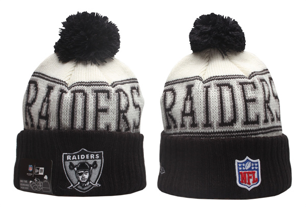 NFL Beanies(2)-0094