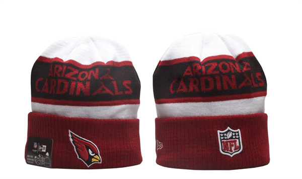 NFL Beanies(2)-0099