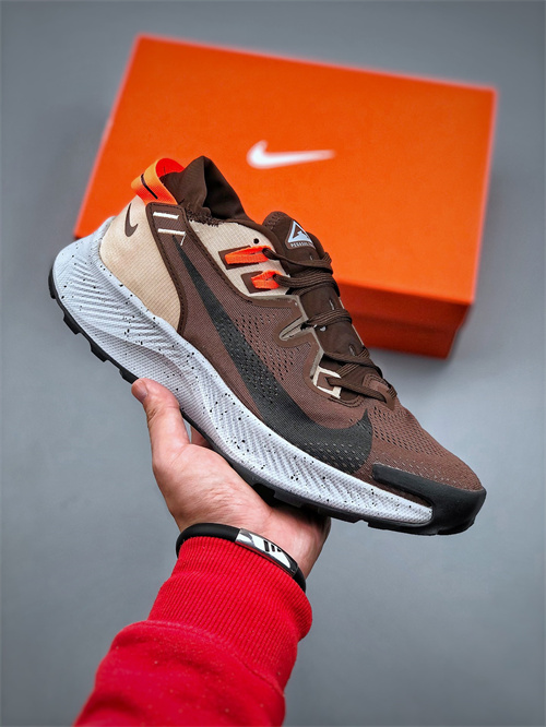 Nike Zoom Pegasus-W-018