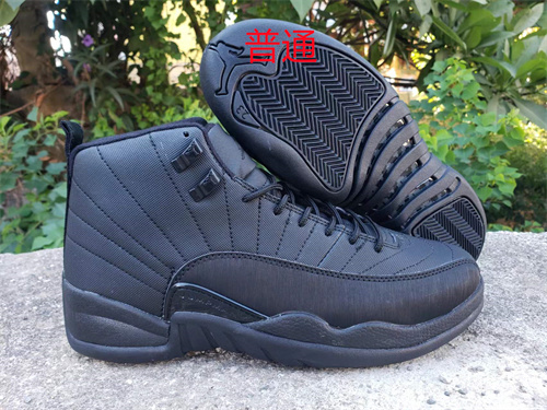 Jordan12-M-013