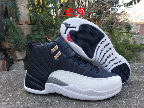 Jordan12-M-032