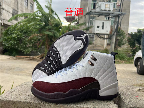 Jordan12-M-033