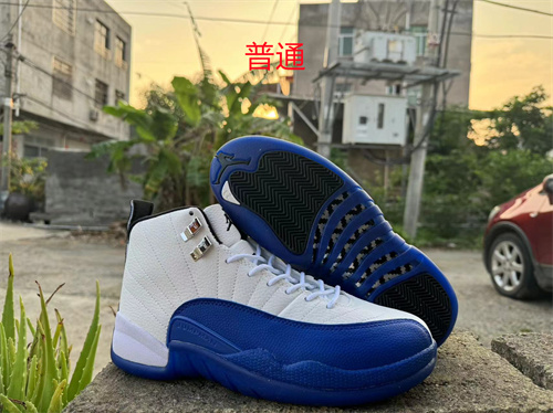 Jordan12-M-042