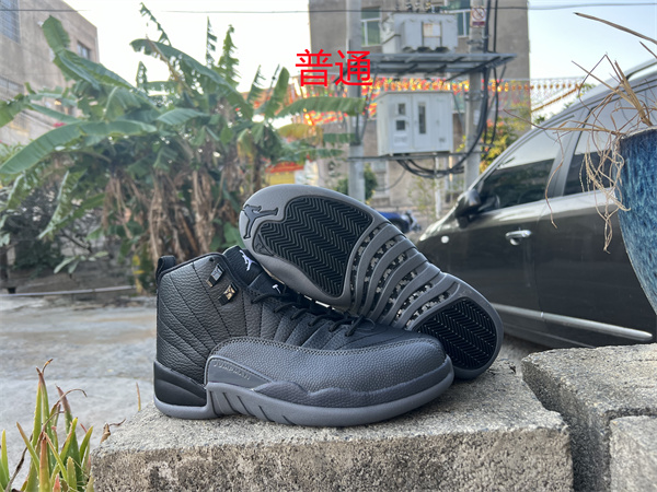 Jordan12-M-043