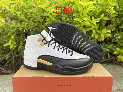 Jordan12-M-006