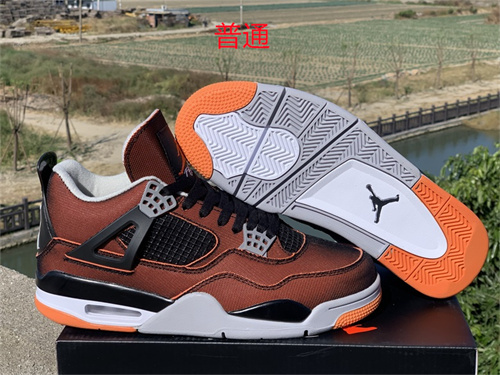 Jordan4-W-045